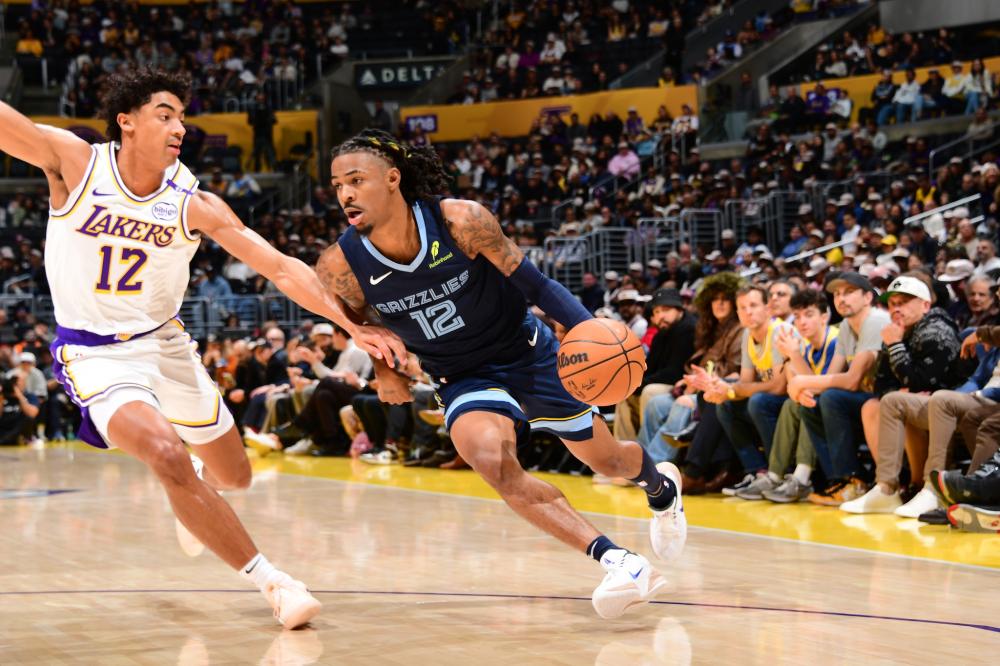 经验和韧性 经验和韧性